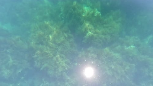 Hintergrund der Meereswasseroberfläche aus flachem Winkel von der Kajak-Kamera aus fliegt über das klare grüne Meerwasser