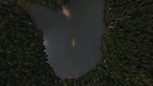 Amazing Aerial Top Down View of the Mountain Lake Synevyr Among Trees Drone Flies Slowly High Up
