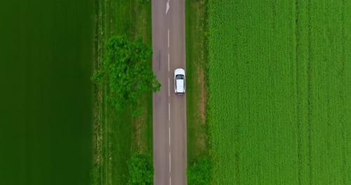 Aerial View Electric Car Driving on Country Road Luxury Modern Vehicle Riding Fast Along Trees and