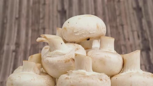 Pile of Fresh White Button Mushrooms Close Up