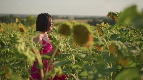 Contemplative Woman Strolling Serene Lady Walking Through Blooming Fields Peaceful Scene of Woman in