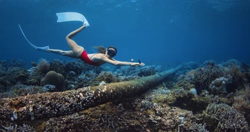 Amazing Corals and Pretty Woman Freediver Underwater in Blue Sea Freediving in Raja Ampat