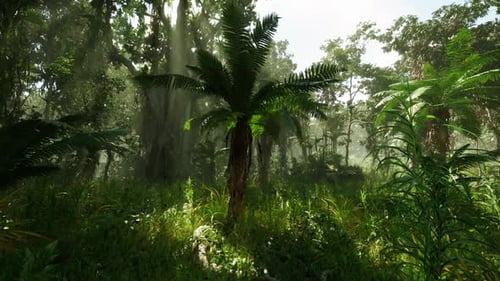 Tropical Jungle Forest with Sun Rays