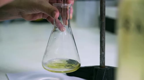 laboratoire de contrôle de la qualité des vins dans les établissements vinicoles