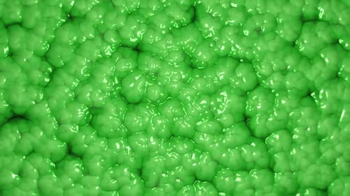 Green Slime Cellular Organism Background