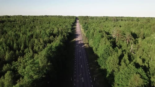 Fly over empty road with dense forest on both sides