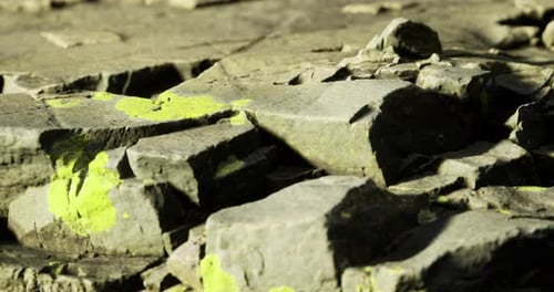 Textured Rocks Covered in Bright Green Lichen Near a Mountain Trail
