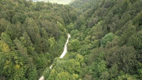 Aerial Forest Road