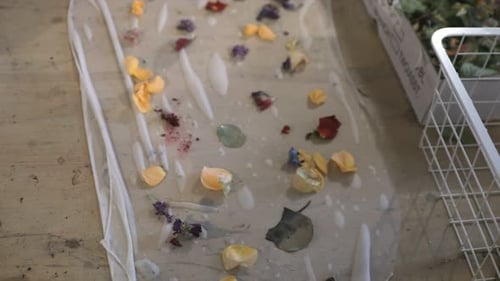 Woman Arranging Colorful Pressed Flowers on Parchment Paper
