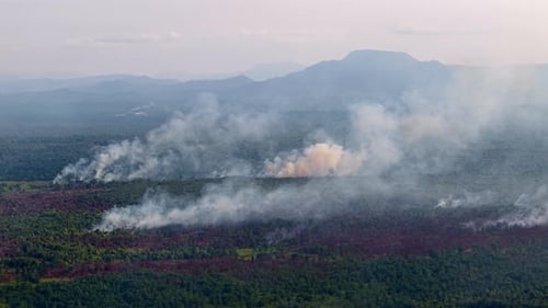Smoke rises from forest fires across rolling hills