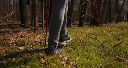 Backpacker Hiker Girl with Hiking Poles Walking Between Trees in a Mountain Forest Hispanic Teenager
