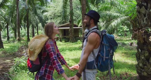 Feliz pareja besándose en el bosque de palma aceitera