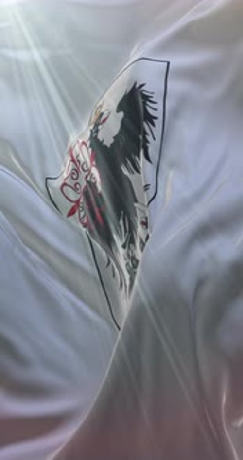 Stylized Shield and Bird Emblem on Waving White Fabric