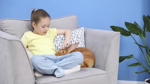 Young Girl Pets Large Orange Rabbit on Couch Indoors