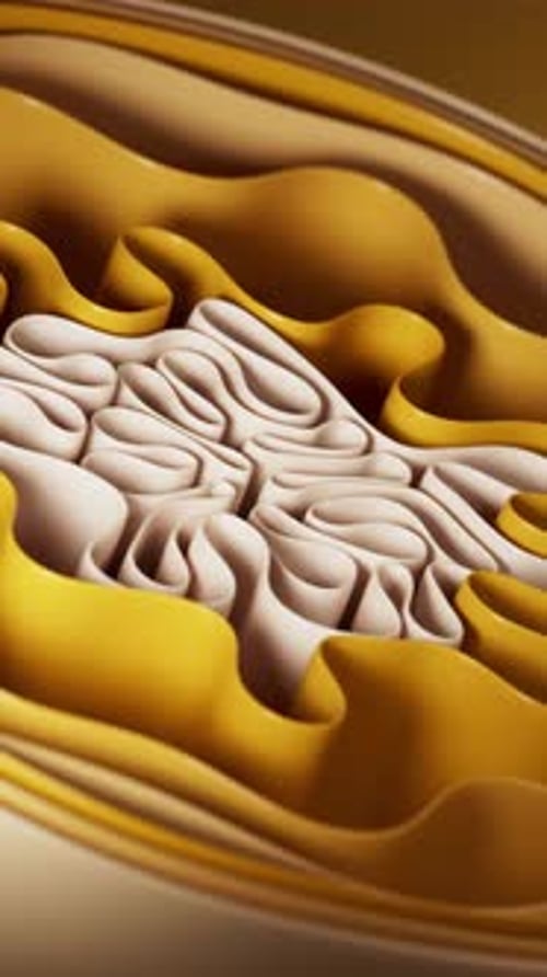 Abstract Wavy Gold and White Layers Fluid Motion Background