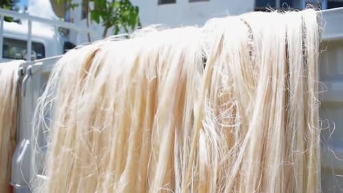 Un tas de fibre d'abaca sèche sur le toit d'un camion par une journée ensoleillée