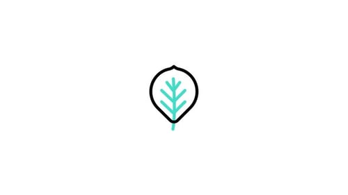 Leaf Animated Icon