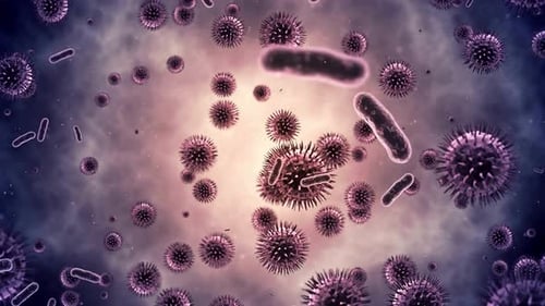 Microbiome, gut bacteria