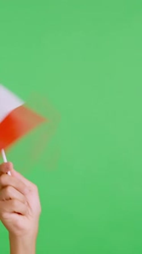 Hand Waving National Flag on Green Screen