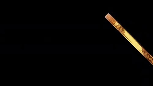 Chinese New Year Coin Transition