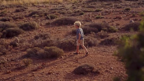 Boy In Blue Exploring Bushy Soil Path