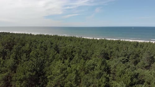 Scenic aerial view of Baltic sea and forest,pedestal shot