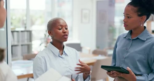 Three Women Having a Business Conversation in Office