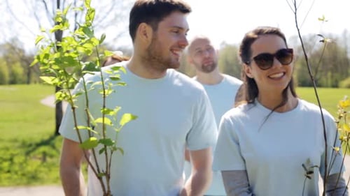 Volunteers Walking with Saplings for Planting in Park