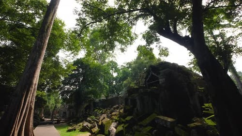 Lieu du film Tomb Raider : temple Ta Prohm, complexe d'Angkor Wat, monument khmer cambodgien