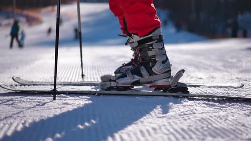 Side View Female Feet in Boots on Skis Moving Leaving in Slow Motion on Sunny Day Outdoors