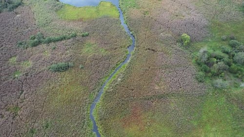 Nature Aerial View River Valley Beautiful View From Height of the Rivers and Swamps Green Landscapes