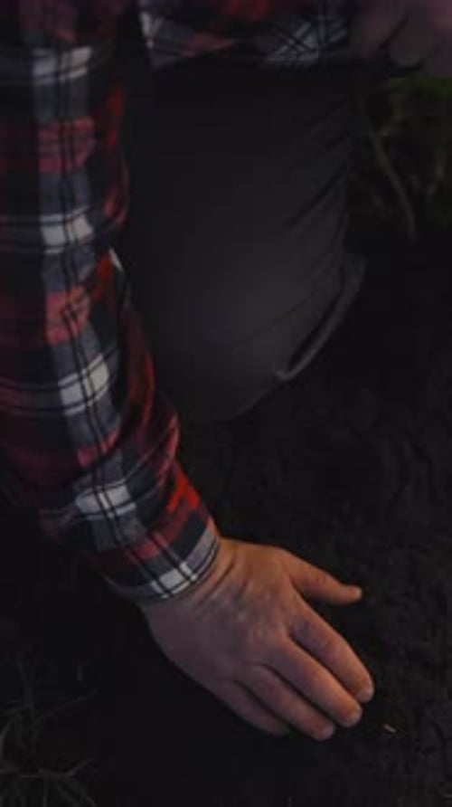 Organic Farming and Soiling Farmworker Taking Soil in Hand Closeup View Modern Agribusiness and