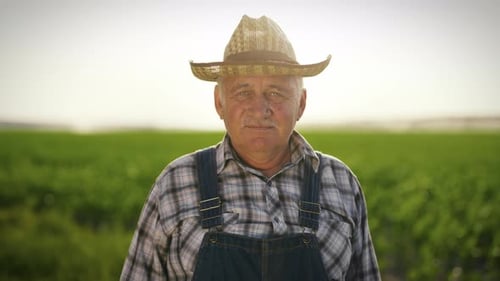 Portrait of Senior Farmer in Beautiful Agricultural Field in Summer in Sunny Day Professional Farm