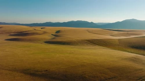 Flying Over Golden Wheat Fields As Sunrise Over The Mountains Aerial Drone View
