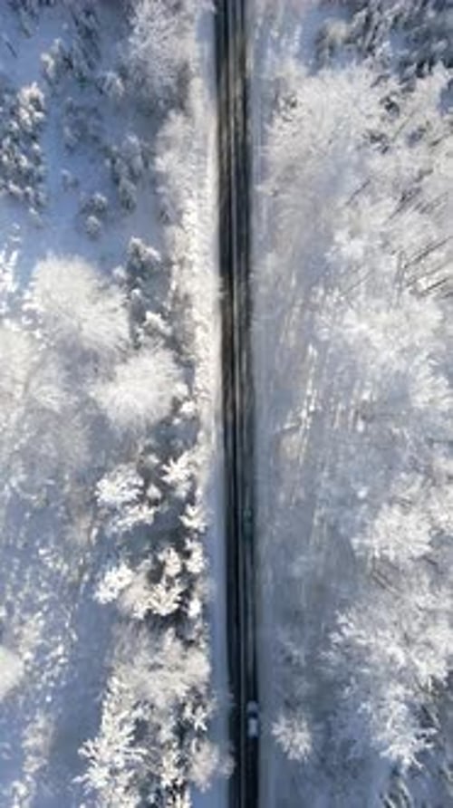 Top View of Cars Driving Through a Winter Snowy Forest in the Mountains
