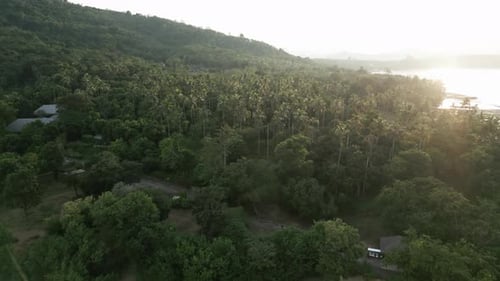 Idyllic Tropical Beach and Panoramic Forest with Exotic Palm Trees and Blue Sky