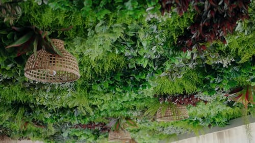El exuberante techo lleno de vegetación vibrante y las luces colgantes en forma de cesta crean un ambiente natural y refrescante
