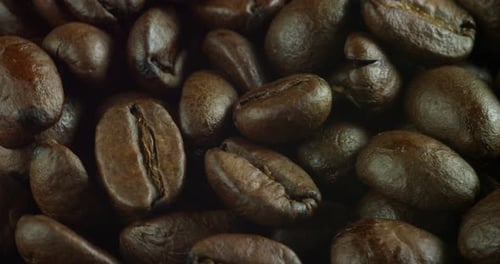 Macro shot of a roasted coffee bean. close up of high-quality arabic coffee with, produced in Braz