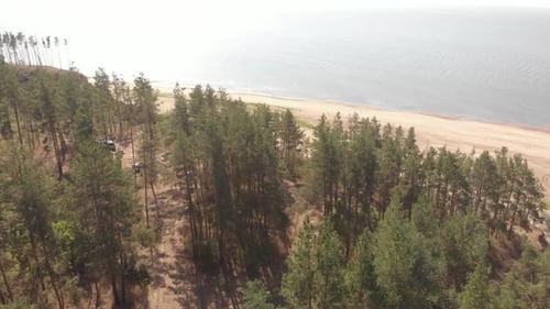 Summer Seashore