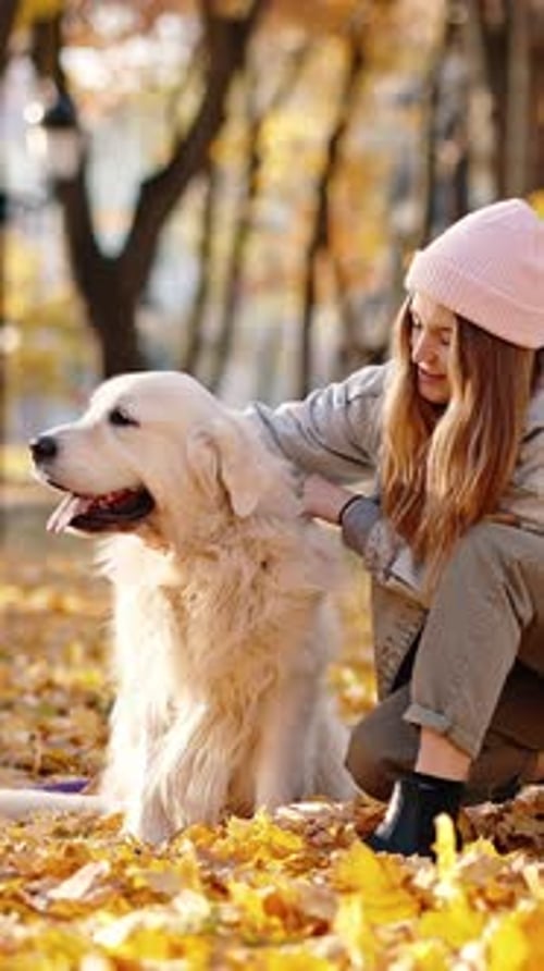 Sincere Pet Love Young Happy Woman Caressing Her Lovely Dog Embracing Him at Autumn Urban Park on