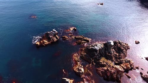 Circling around the rocks sticking out of water at the shore.