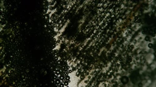 Microscopic Bubbles Moving in Abstract Dark Fluid Background