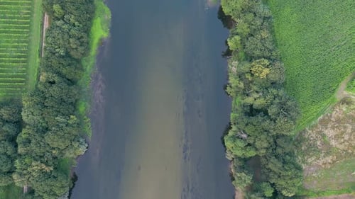 Top View Of River Stream Flowing Through Greenery Vegetations. Aerial Shot