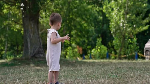 Small boy in park walking. Fun lifestyle child playing.