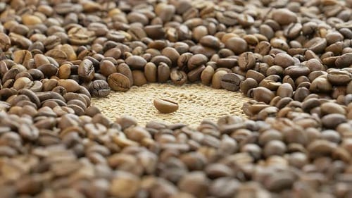Kaffeebohnen-Arrangement mit unterschiedlichen Röstgraden und Texturen