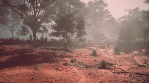 Dusty Landscape with Trees and Haze in an Australian Outback Setting