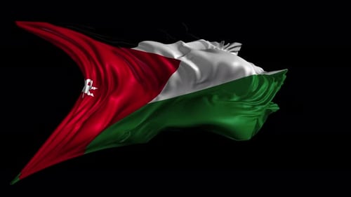 Waving Palestinian Flag Realistic Fabric Animation