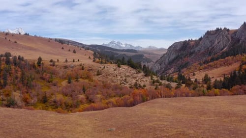 Belle forêt d'automne et plaines de prairies sous les prairies du Sichuan Genyen