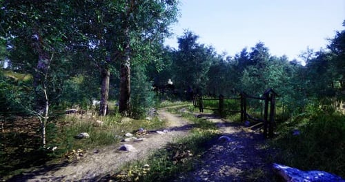 Pathway Through a Lush Forest with Green Vegetation Under Clear Sky