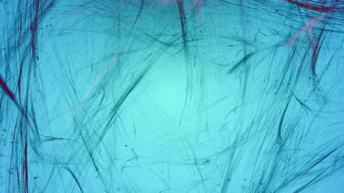 Spider Web Background